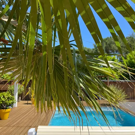 Maison Avec Sa Grande Terrasse Ensoleillee *